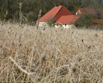 Bauen mit Hanf und Kalk