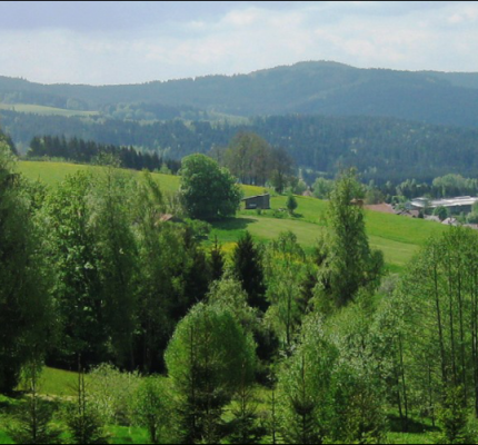 Bayerns Wald in der 4. Bundeswaldinventur: Angeschlagen, aber stabil, produktiv und zukunftsorientiert