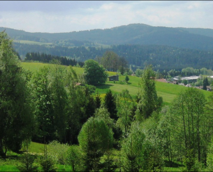 Bayerns Wald in der 4. Bundeswaldinventur: Angeschlagen, aber stabil, produktiv und zukunftsorientiert