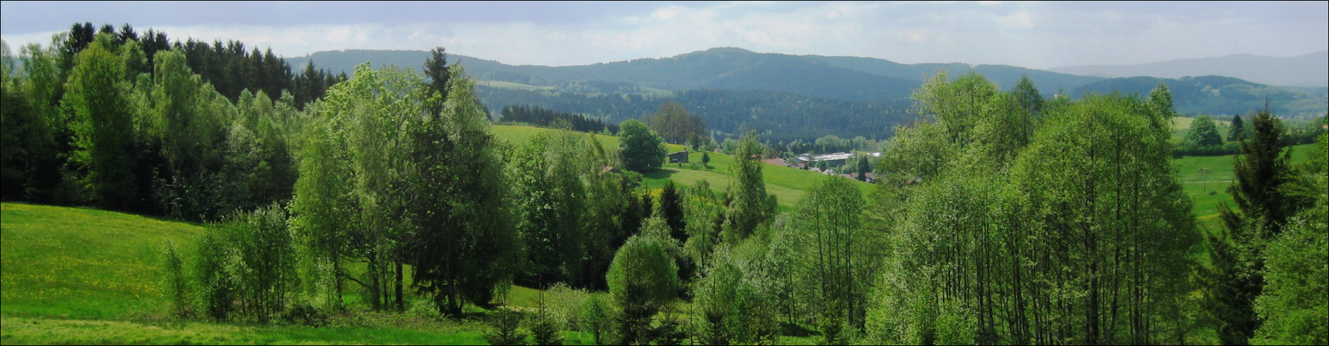 Bayerns Wald in der 4. Bundeswaldinventur: Angeschlagen, aber stabil, produktiv und zukunftsorientiert