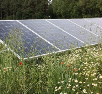 Freiflächen- und Agri-PV