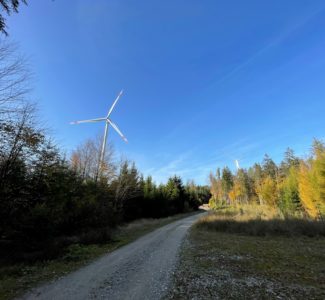 Windkraft im Wald