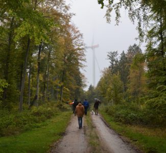 Waldwindpark