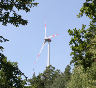 Banner Wind im Wald