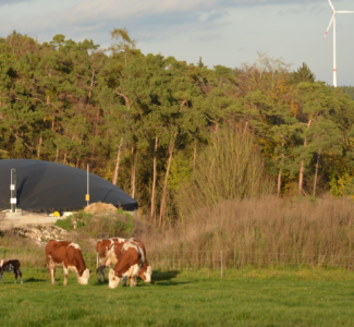 Biogas_Kuh_Anlage_Plankstetten (3)