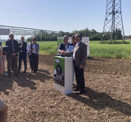 Agrarministerin Kaniber und Wirtschaftsminister Aiwanger nehmen Agri-PV-Anlage Grub in Betrieb