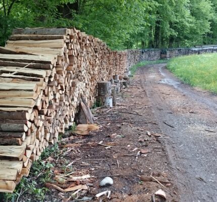 Energetische Holznutzung weiter gestiegen