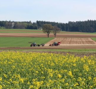 Landwirtschaft Feld Raps