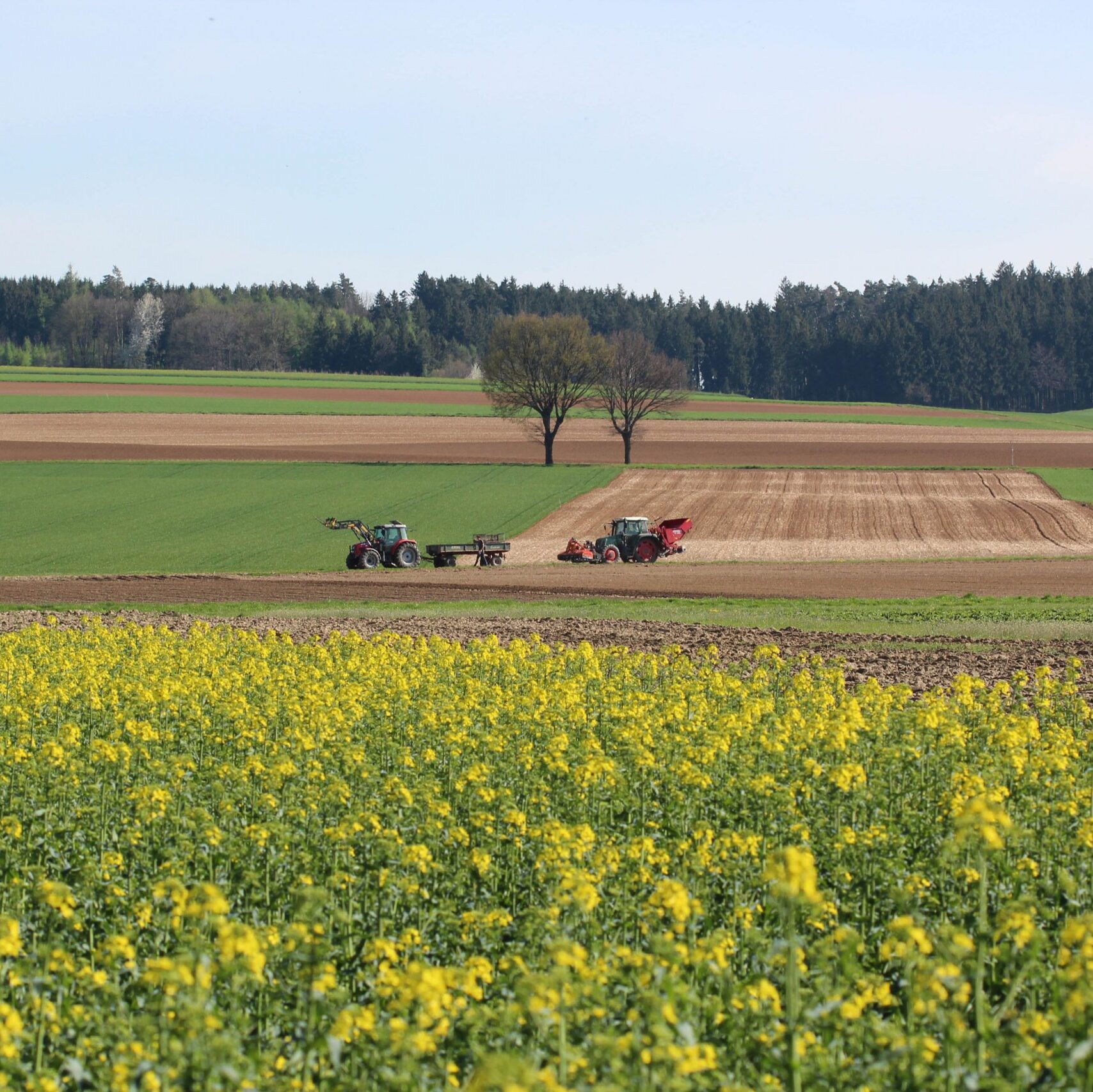 EU-Rahmen für die Zertifizierung von Kohlenstoffsenken ist auf dem Weg