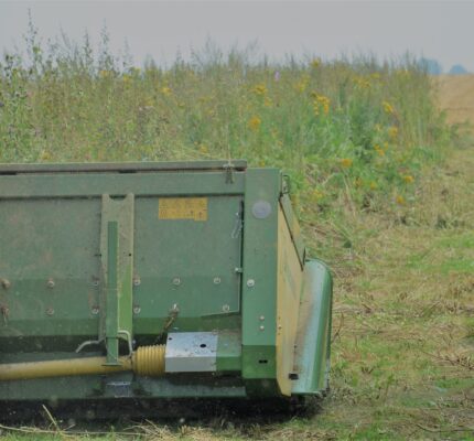 „Zukunft der Biomasse in Land- und Forstwirtschaft: Anbau, Klimaanpassung und innovative Nutzungsoptionen” als Thema des 32. C.A.R.M.E.N-Forums