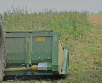 „Zukunft der Biomasse in Land- und Forstwirtschaft: Anbau, Klimaanpassung und innovative Nutzungsoptionen” als Thema des 32. C.A.R.M.E.N-Forums