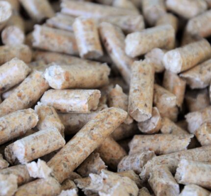 Neuauflage der C.A.R.M.E.N.-Broschüre „Heizen mit Holzpellets – Komfortabel, sauber, regenerativ“